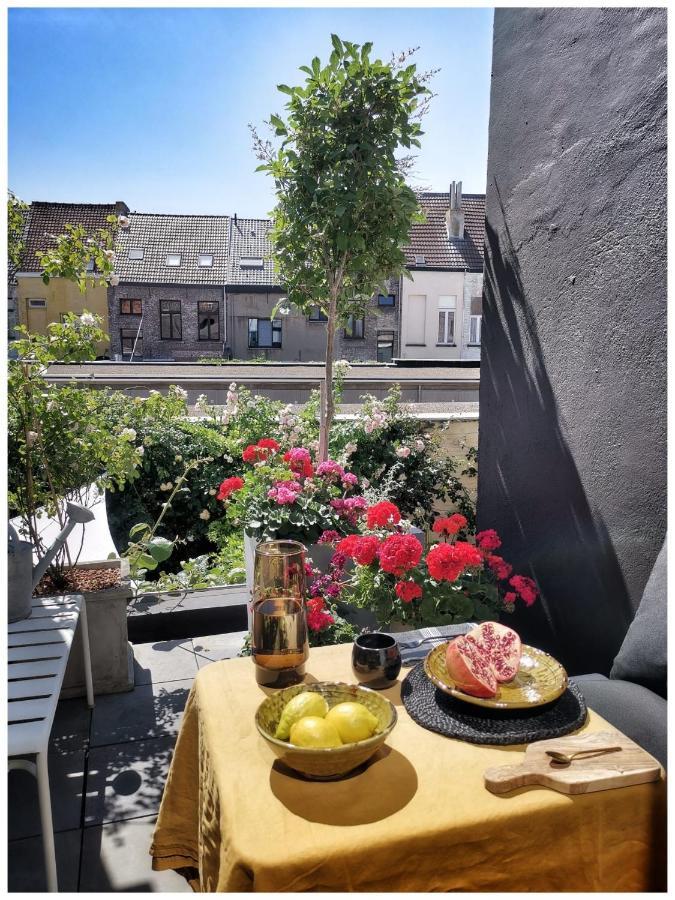 Studio Spiegelhof Gent Exteriör bild